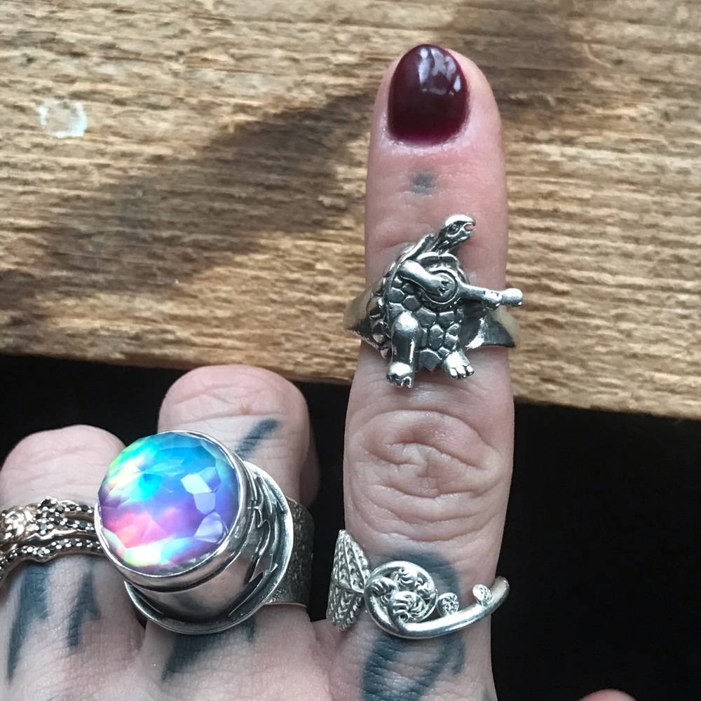 Sterling Silver Grateful Dead Terrapin Station Turtle Ring Banjo